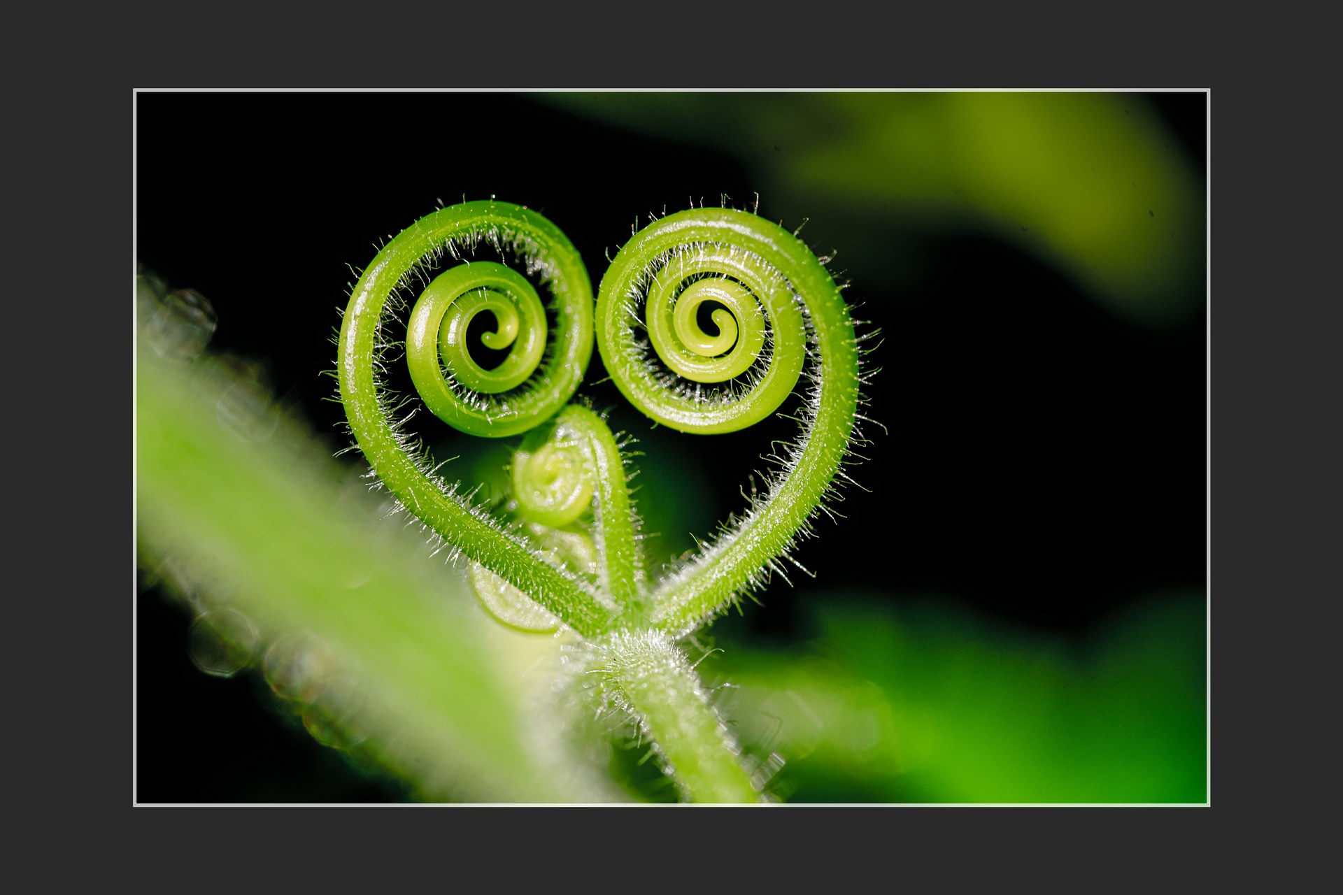 Szívecskék a Természetben/Facebook